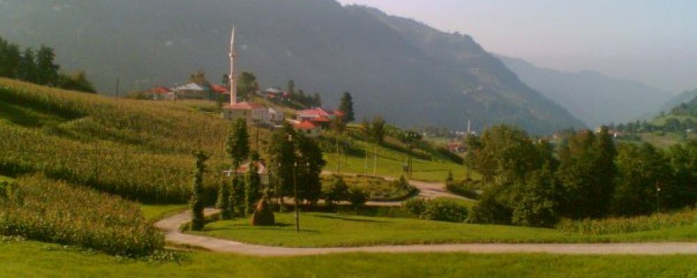 SALİH TOMAR Cover Image