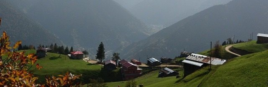 Şafak Ayaz Cover Image