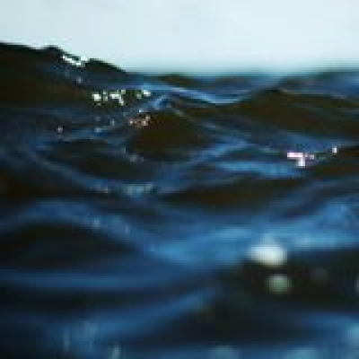 İlhan Emir Altunkaya Profile Picture