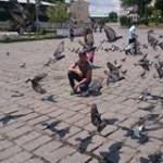 Sinan Elçin Profile Picture