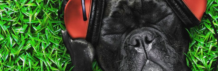 Kutay Yeşiltepe Cover Image