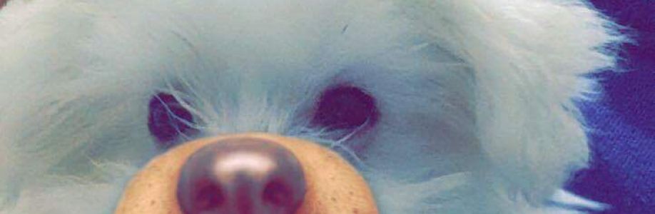 Merve Çelik Cover Image