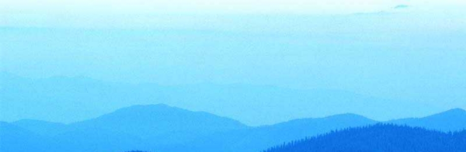 Bekir Can Çoban Cover Image