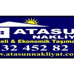 ibrahim şasi Profile Picture