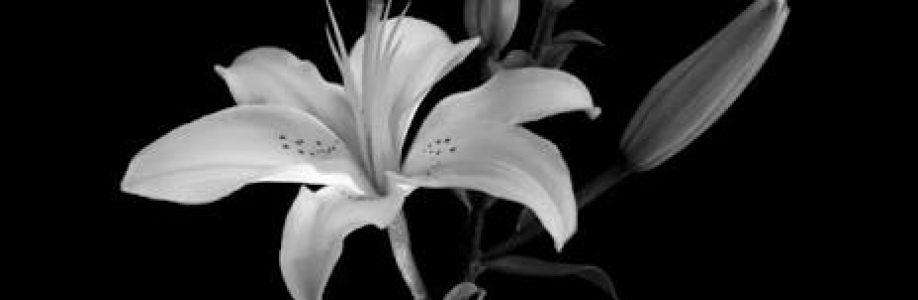 Vaxikyle Kai Cover Image