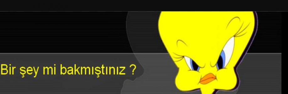 Erya Demir Cover Image