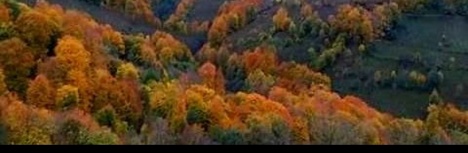 Adem ⭐❤ Cover Image