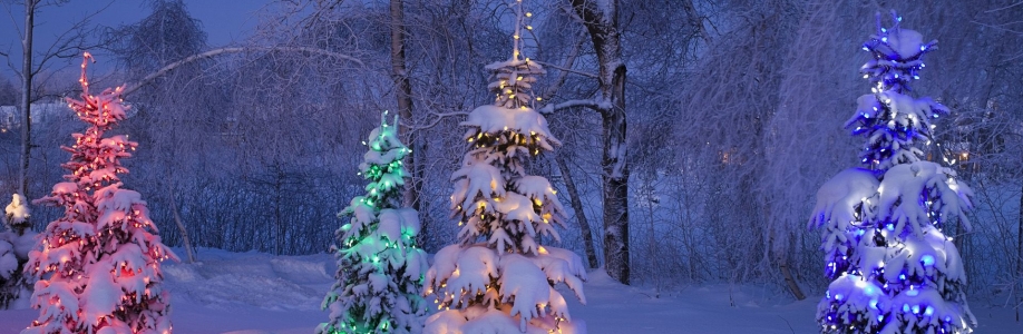 Ferhat Çınar Cover Image