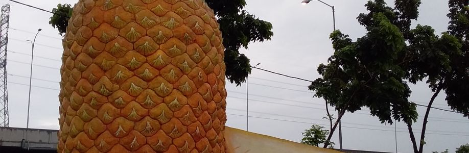 Adi Milanisti88 Cover Image