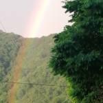 Mecit Profile Picture