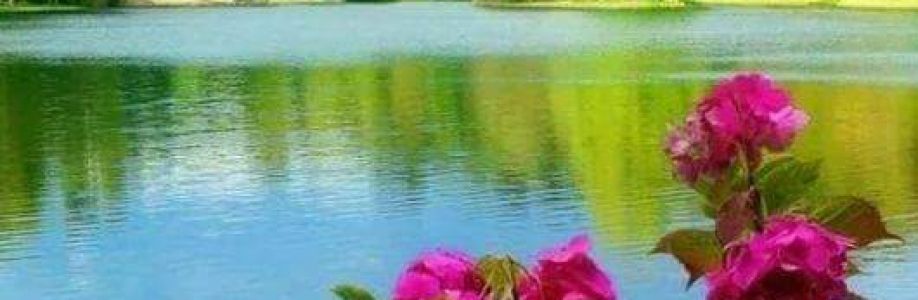 Yavuz Anılan Cover Image