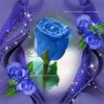 Saban Erduran Profile Picture