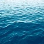 Mete Gbr Profile Picture