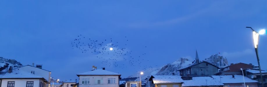 Kerim Kütükcü Cover Image