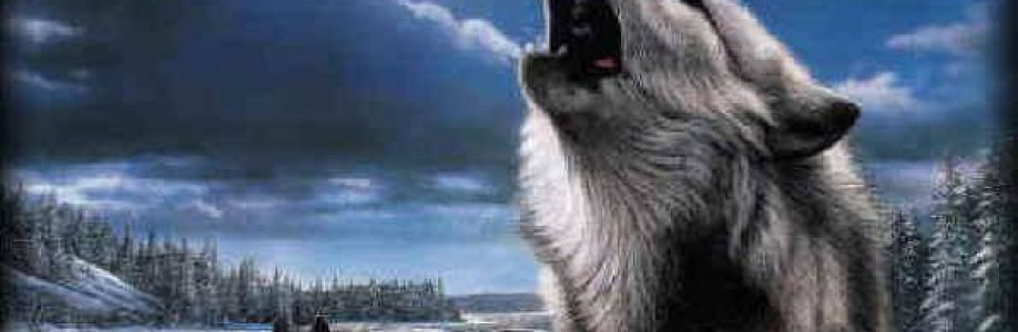 Muhammed Menderes KOÇ Cover Image