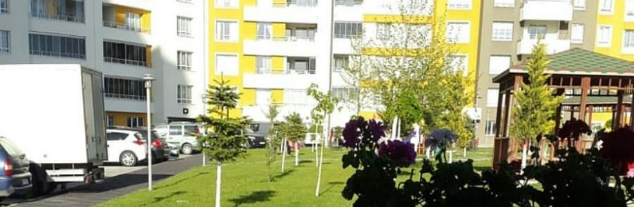 Hüma⭐ Soytürk(๑˙❥˙๑) Cover Image