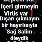 Ceyhan Turba Profile Picture