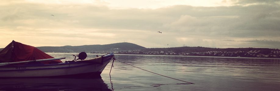 Efe Hançerli Cover Image