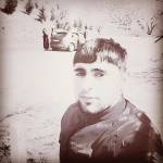 Taleh Profile Picture