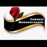 Fatihlul Profile Picture