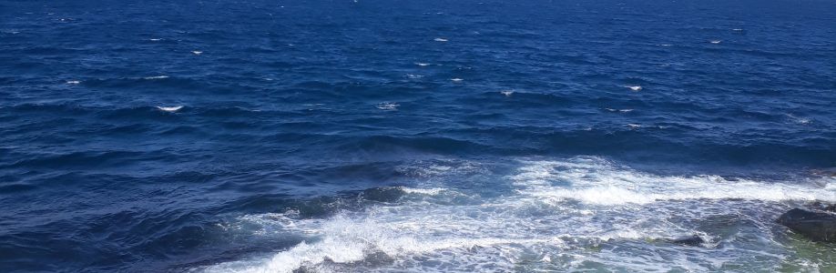 Cansu Cansu Cover Image