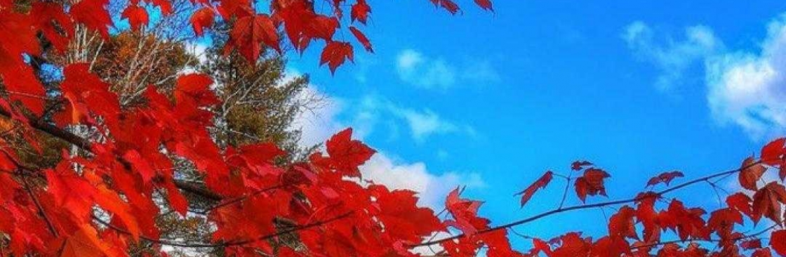 Mert Yüce Cover Image