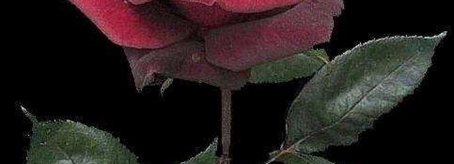 Hakan Demir Cover Image