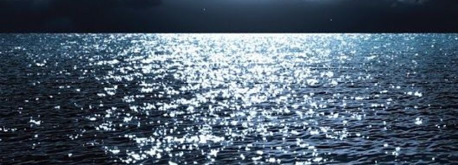 ali basyigit Cover Image